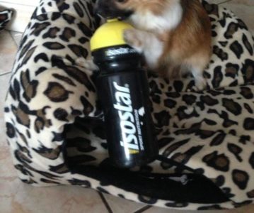 Nouveau sponsor